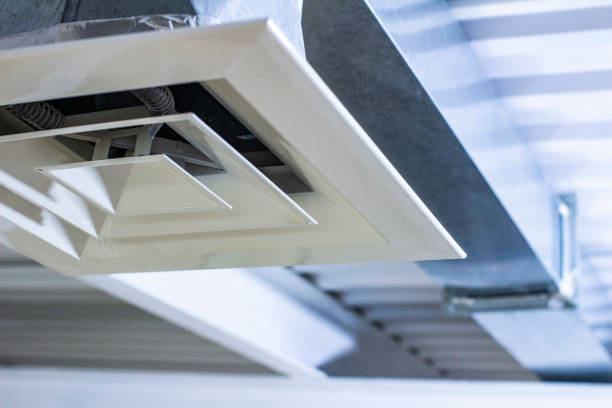 Best Air Vent Cleaning Services  in Alturas, FL