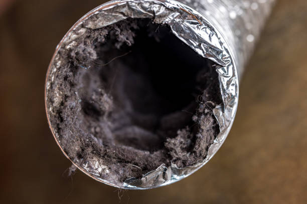Best Air Duct Cleaning Cost  in Alturas, FL