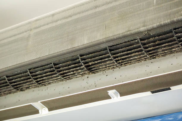 Best Local Air Duct Cleaning Services  in Alturas, FL