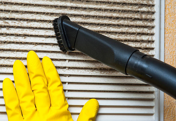 Best Dryer Vent Cleaning Services  in Alturas, FL